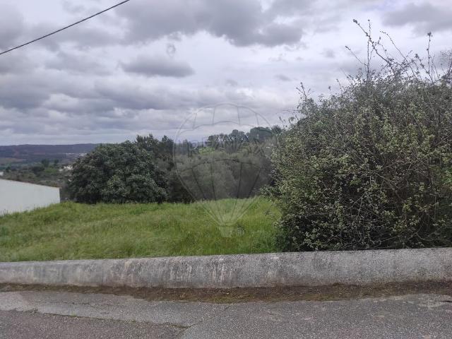 Terreno venda em Santa Margarida da Coutada, Constância