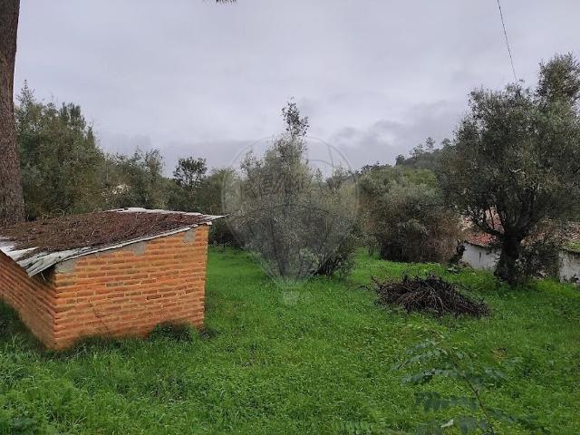 Terreno venda em Vale de Mestre, Constância