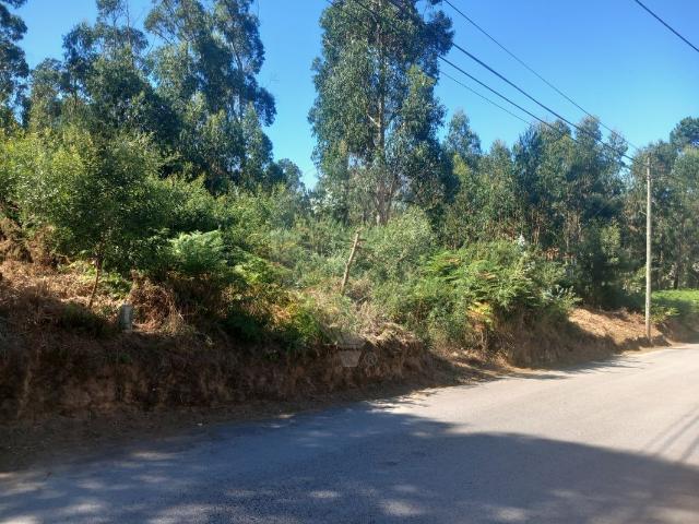 Terreno venda em Santo Ovídeo, Santa Maria Da Feira