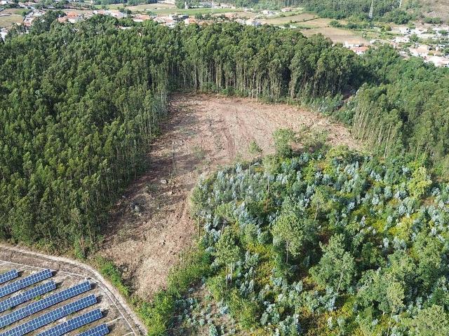 Terreno venda em Monte, Vila Nova de Famalicão