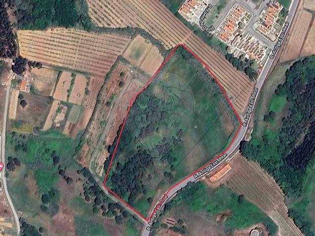 Terreno venda em Santa Maria, São Pedro e Sobral da Lagoa, Óbidos