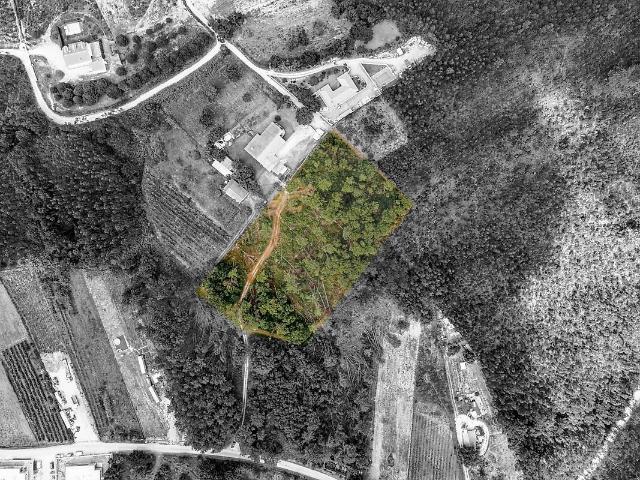 Terreno venda em Santa Maria, São Pedro e Sobral da Lagoa, Óbidos