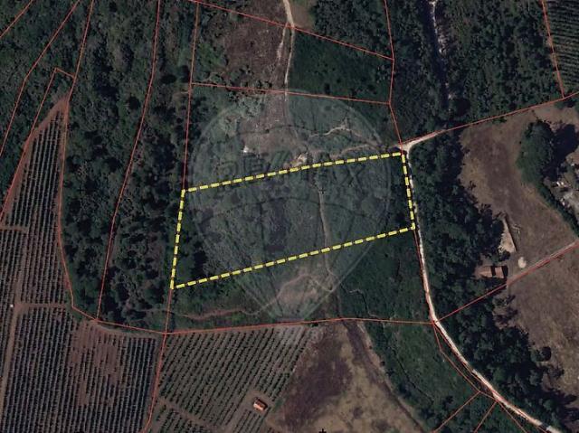 Terreno venda em Santa Maria, São Pedro e Sobral da Lagoa, Óbidos