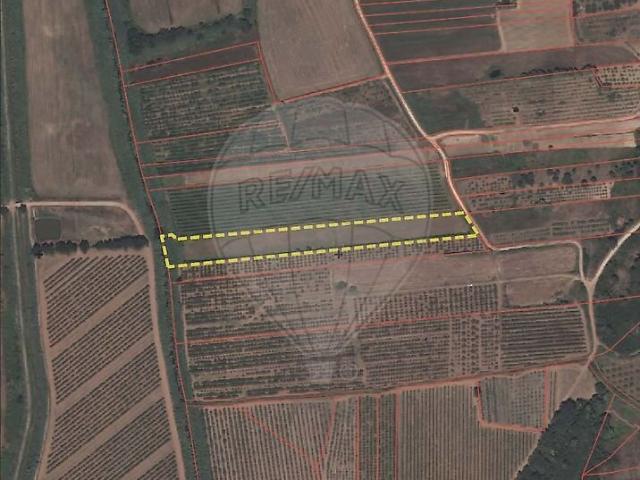 Terreno venda em Santa Maria, São Pedro e Sobral da Lagoa, Óbidos