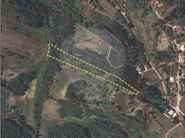 Terreno venda em Santa Maria, São Pedro e Sobral da Lagoa, Óbidos