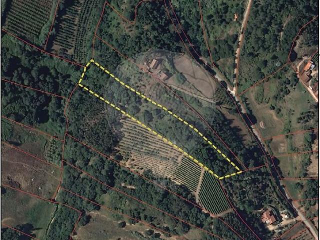 Terreno venda em Santa Maria, São Pedro e Sobral da Lagoa, Óbidos