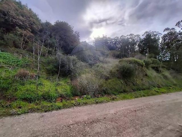 Terreno venda em Santa Maria, São Pedro e Sobral da Lagoa, Óbidos