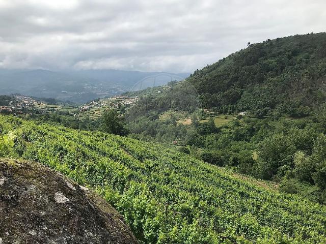 Terreno venda em Santa Marinha do Zêzere, Baião