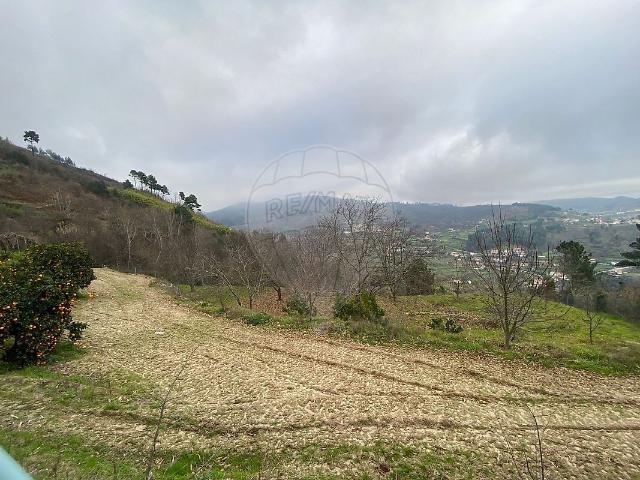 Terreno venda em Santa Marinha do Zêzere, Baião