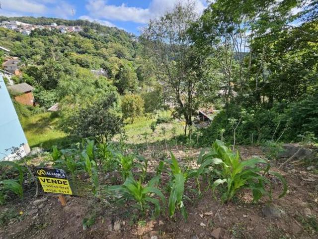 Terreno venda em Região Geográfica Imediata de Bento Gonçalves, Bento Gonçalves