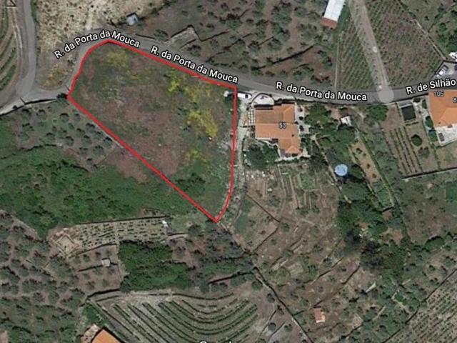 Terreno venda em Silhão, Santa Marta De Penaguião
