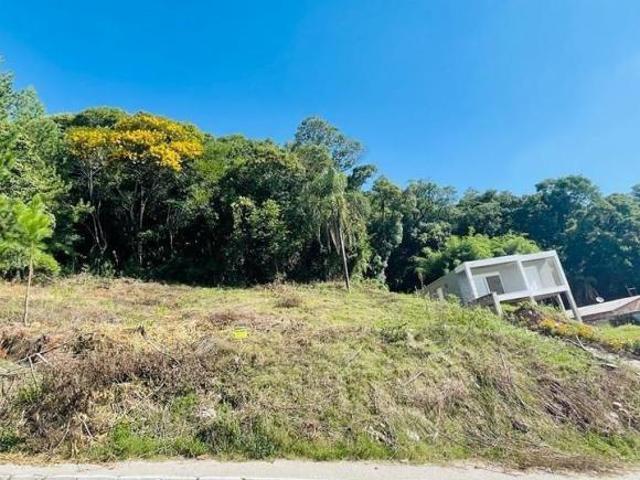 Terreno venda em Região Geográfica Imediata de Bento Gonçalves, Bento Gonçalves