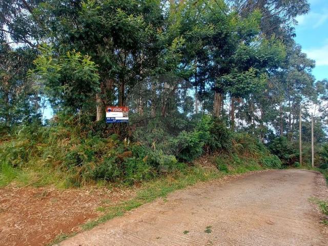 Terreno venda em Santana, Ilha Da Madeira