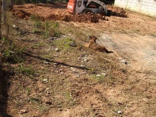 Terreno venda em Chácara São Luiz Gleba 2, Santana de Parnaíba