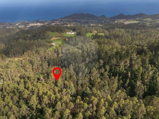 Terreno venda em Santana