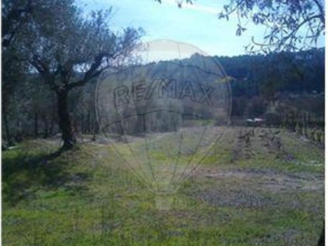 Terreno venda em Santar e Moreira, Nelas