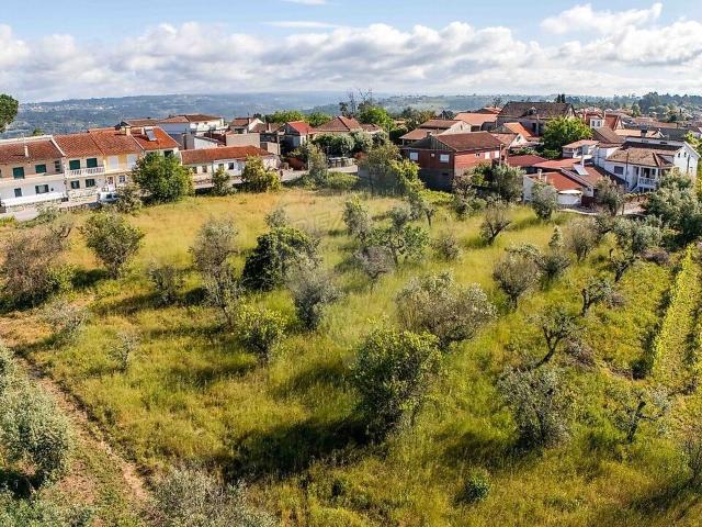 Terreno venda em Santar e Moreira, Nelas