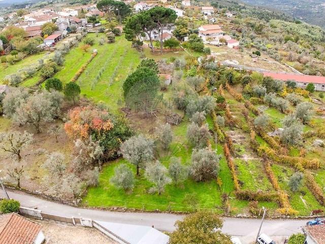Terreno venda em Santar e Moreira, Nelas