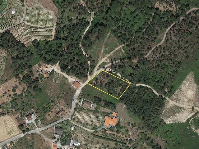 Terreno venda em Santar e Moreira, Nelas