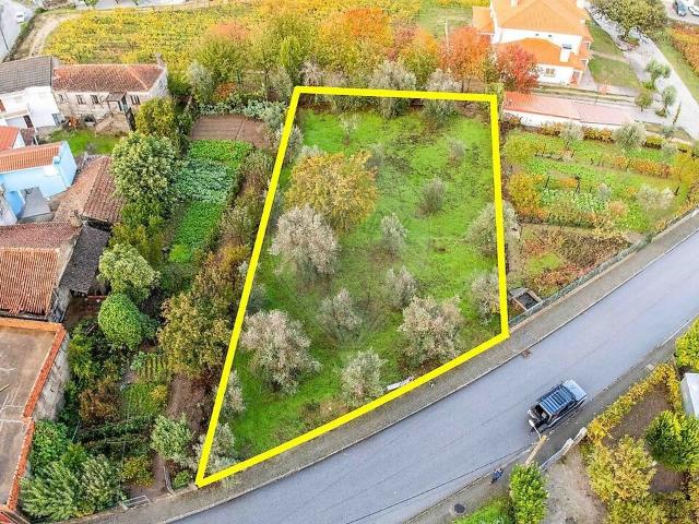 Terreno venda em Santar e Moreira, Nelas