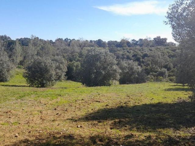Terreno venda em Casével e Vaqueiros, Santarém