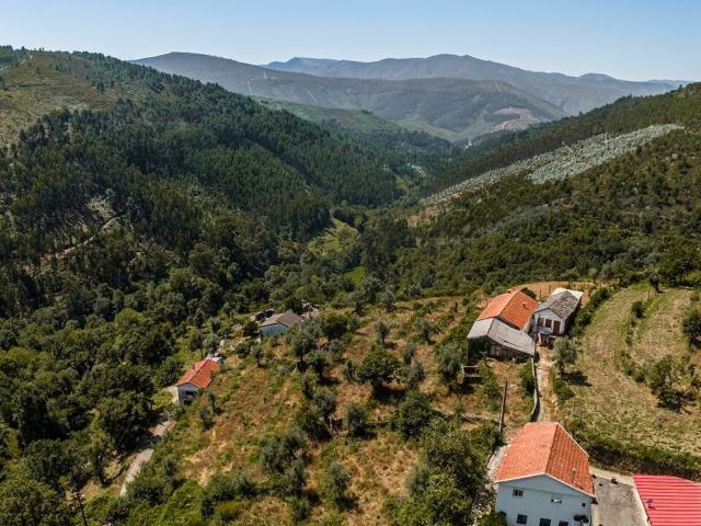 Terreno venda em Castro Daire, Viseu