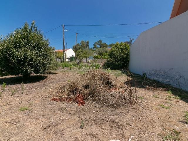 Terreno venda em Santarém