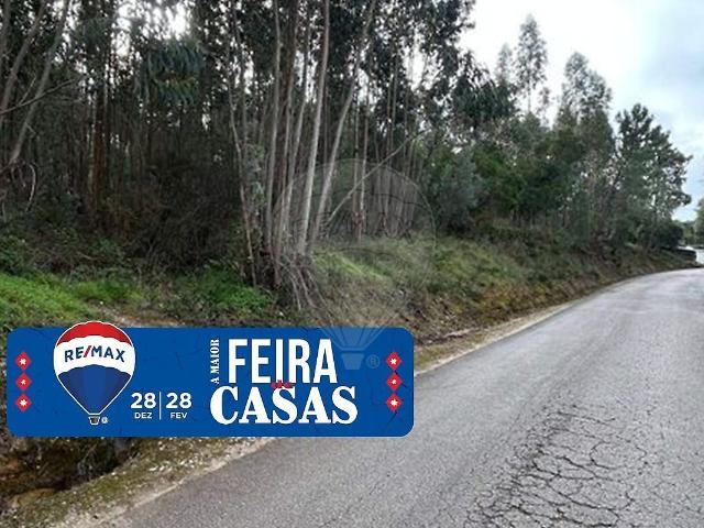 Terreno venda em Santarém
