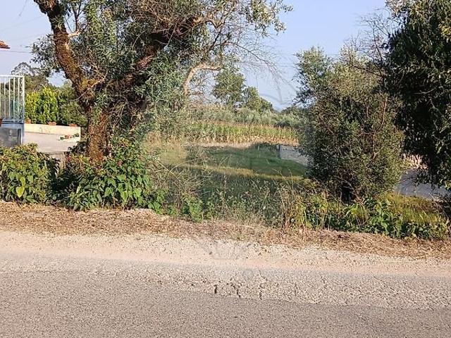 Terreno venda em Santiago da Guarda, Ansião