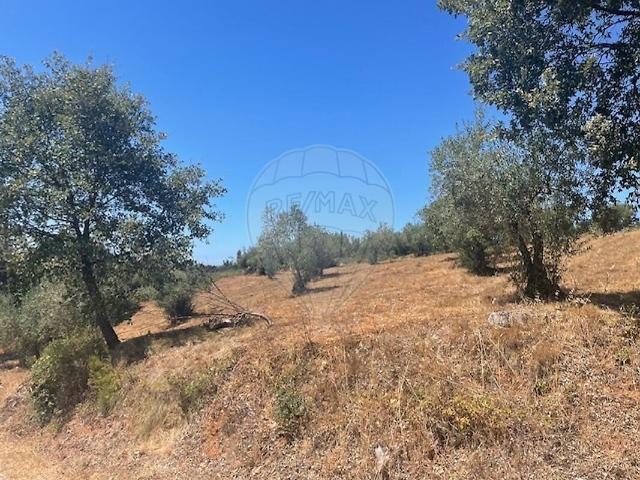 Terreno venda em Santiago da Guarda, Ansião
