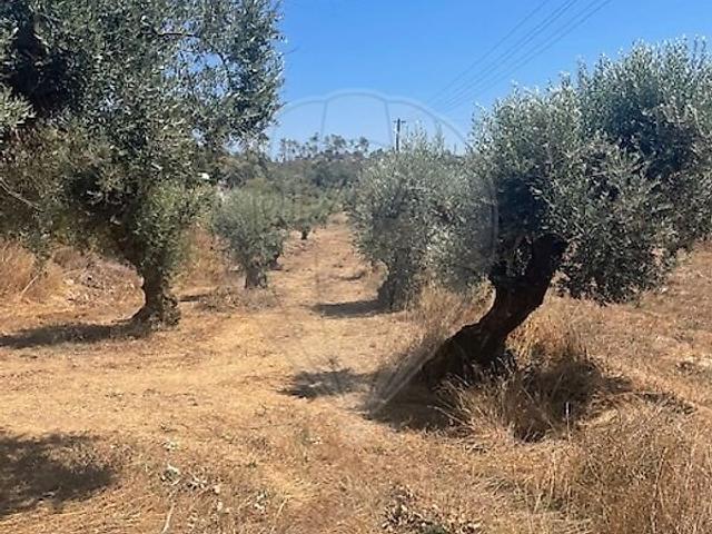 Terreno venda em Santiago da Guarda, Ansião