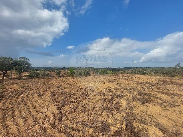 Terreno venda em Cruz de João Mendes, Santiago Do Cacém
