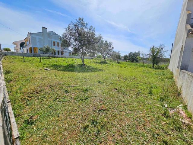 Terreno venda em Cercal, Santiago Do Cacém
