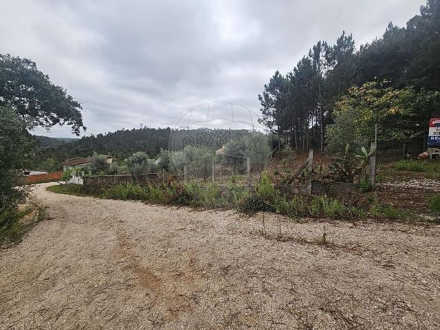 Terreno venda em Albergaria dos Doze, Pombal