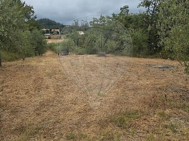 Terreno venda em São Simão de Litém, Pombal