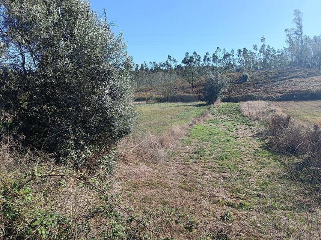 Terreno venda em Albergaria dos Doze, Pombal