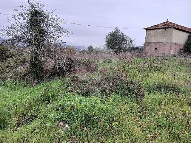 Terreno venda em São Simão de Litém, Pombal