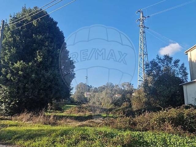 Terreno venda em Albergaria dos Doze, Pombal