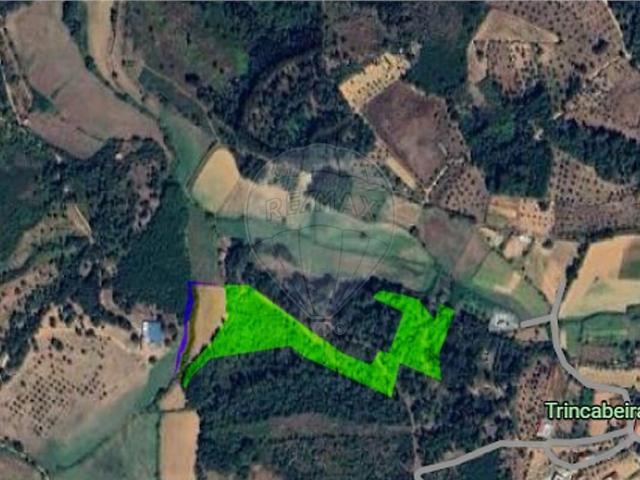 Terreno venda em Sameice e Santa Eulália, Seia