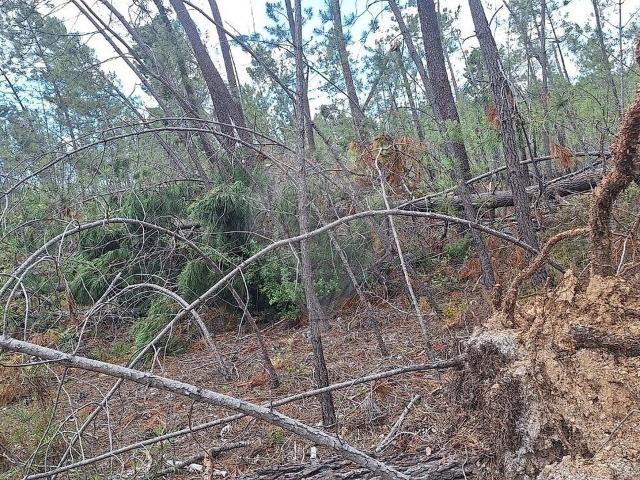 Terreno venda em Santo André das Tojeiras, Castelo Branco