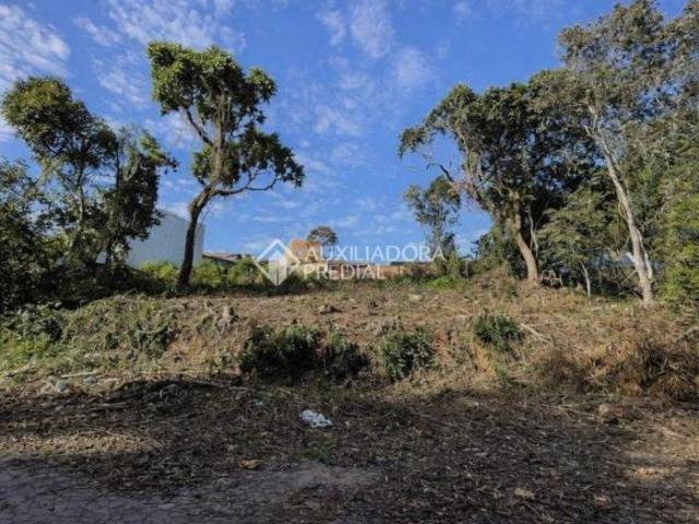 Terreno venda em São Leopoldo