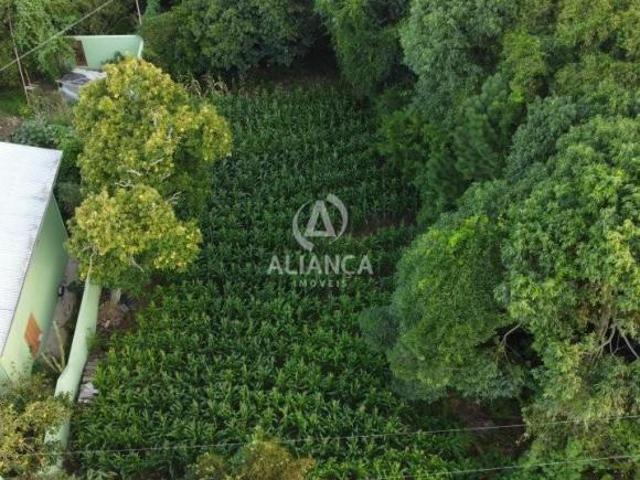 Terreno venda em Região Geográfica Imediata de Bento Gonçalves, Bento Gonçalves