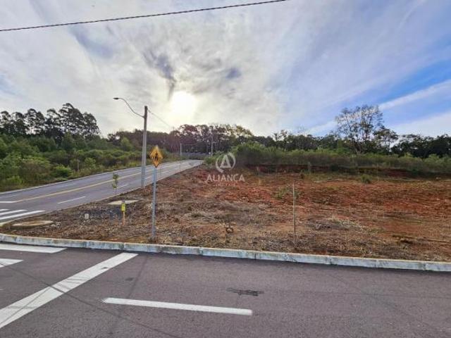 Terreno venda em Região Geográfica Imediata de Bento Gonçalves, Bento Gonçalves