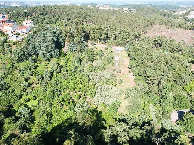 Terreno venda em Eiras e São Paulo de Frades, Coimbra