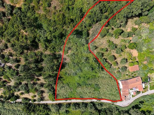 Terreno venda em São Romão, Coimbra
