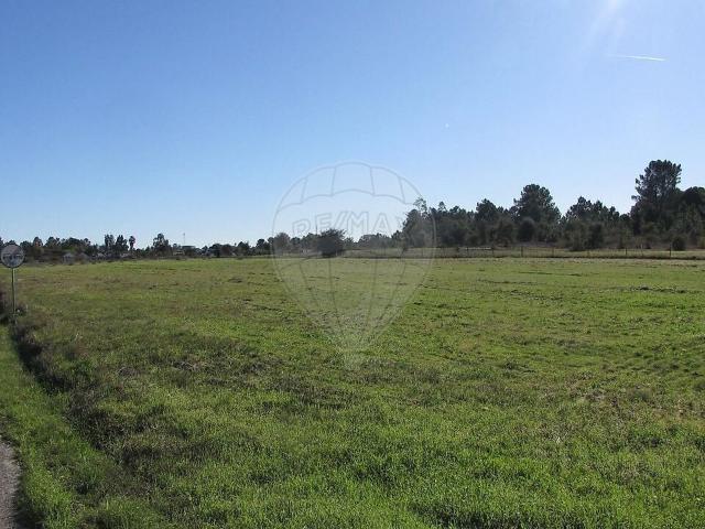Terreno venda em Santo Estêvão, Benavente