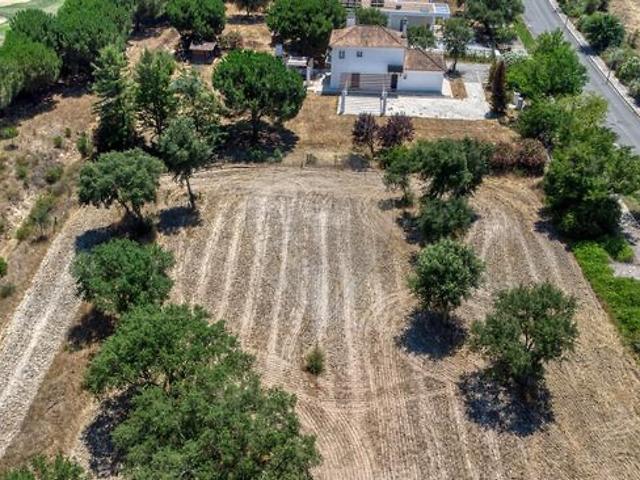 Terreno venda em Barrosa, Benavente