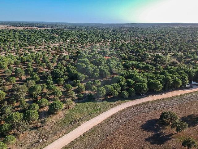 Terreno venda em Santo Estêvão, Benavente