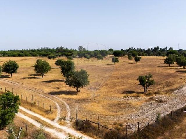Terreno venda em Santo Estêvão, Benavente