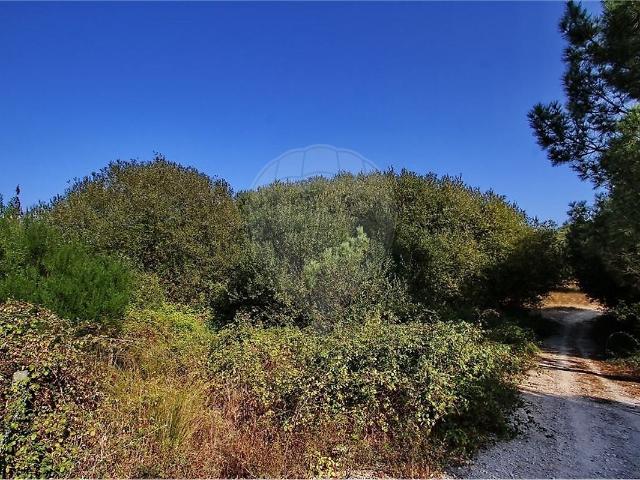 Terreno venda em Santo Estêvão, Benavente